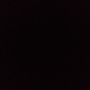 Meet your Posher, Shelly